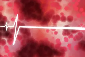 研究速递《体循环和肺循环，双重微循环：从基本概念到治疗要点》图片