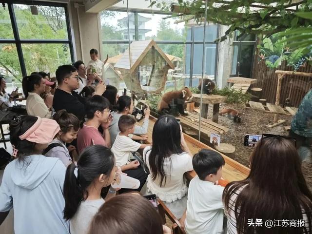 常州唯一！度假区成功入选“2025旅游项目高质量建设运营典型案例”