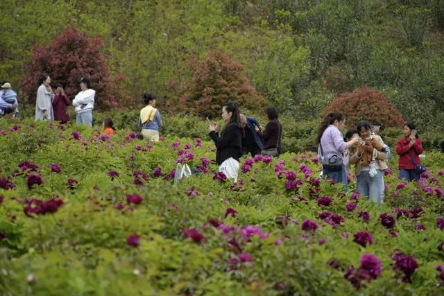 武都，“热”力全开🥰🥰