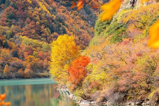 松坪沟的秋天，把油画里的颜色都搬来了吧