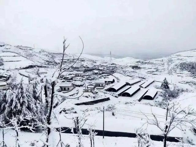 今天，丽江下雪啦
