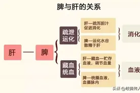 气顺了，病就好了，消积滞，升脾气、降胃气，通中焦，只需四味药图片