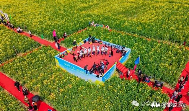 出太阳啦！“十二花神”邀你共赏仙桃油菜花海