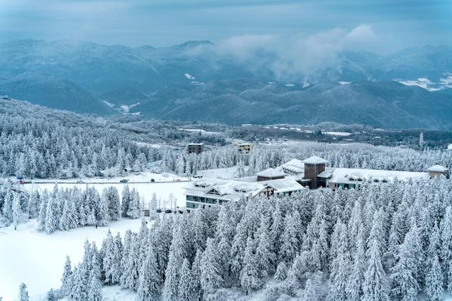 12月下旬-2月，南方适合赏雪的9个地方，不远赴北方也能看雪