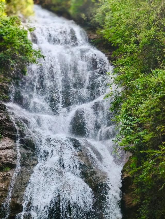 在两当，春天就要Color Walk→