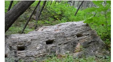 泰山的秘密：泰山下究竟镇压着什么？