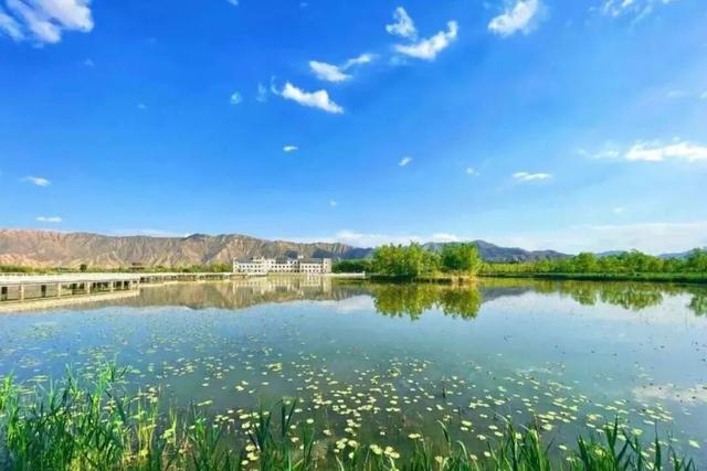 【白银文旅】清明小长假白银文旅市场热度持续攀升