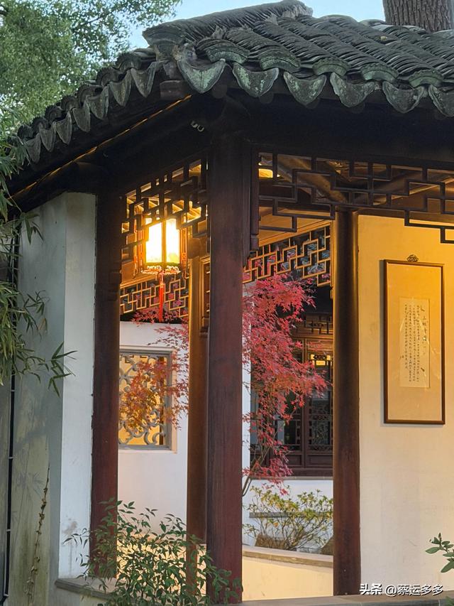 沪上园林古猗园已达颜值巅峰
