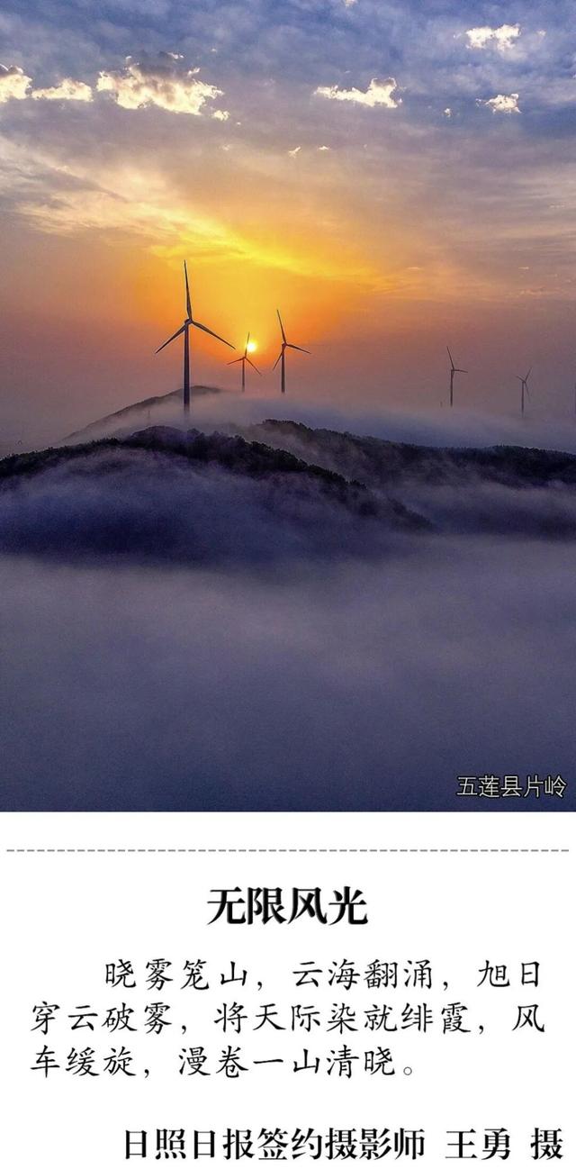 承包美与浪漫！在日照这些地方一键出片！