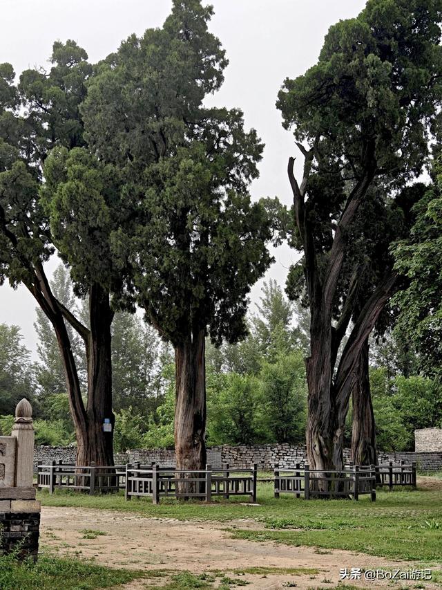 七百年古柏立，琉璃瓦蒙尘，这座文庙惊艳又凄惶