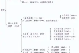 蔡锷死后：两妻各自带子女生活，长女嫁好友之子，长子曾入外交部图片