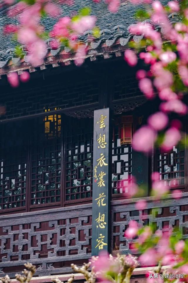 几十年如一日，来看南京顶级神颜