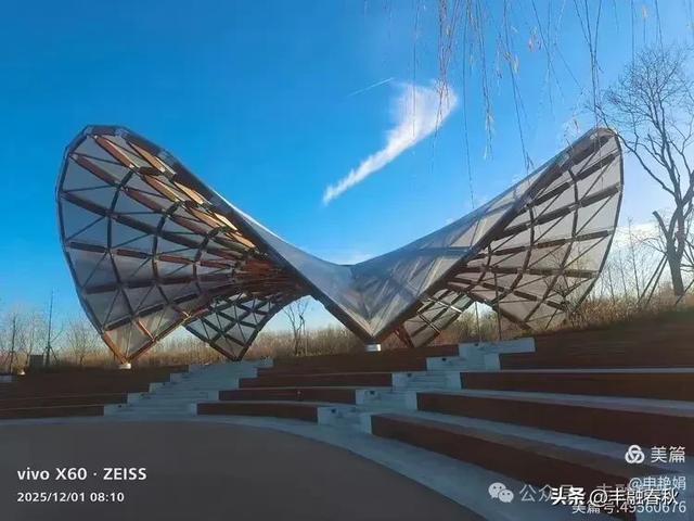 初冬北京朝阳坝河金盏淀：清寒里的静美画卷｜申艳娟