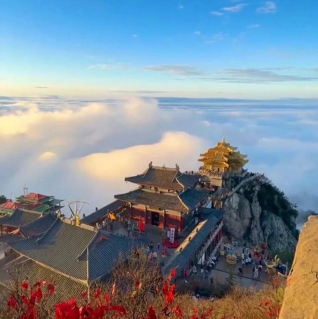 风辞五月，仙山入夏｜老君山邀你共赏山间清风