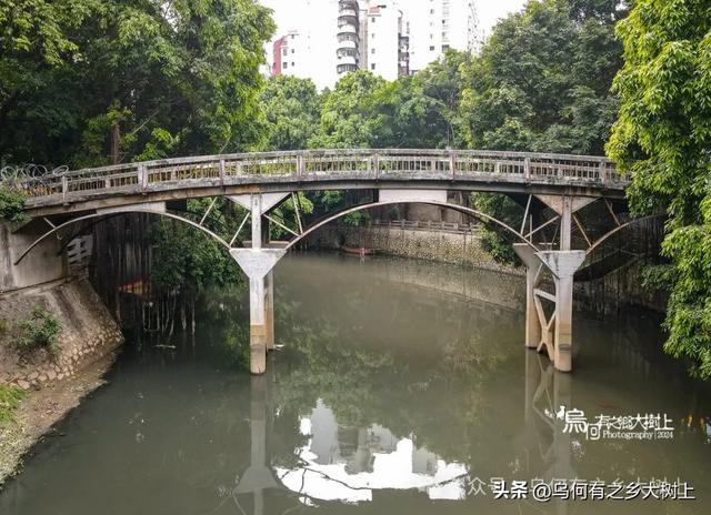 它是南宁第一座铁桥,仅花费8000元建成,如今已成危桥被废弃