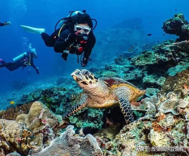 普吉岛跳岛游保姆级攻略,一篇让你丢掉选择恐惧症!
