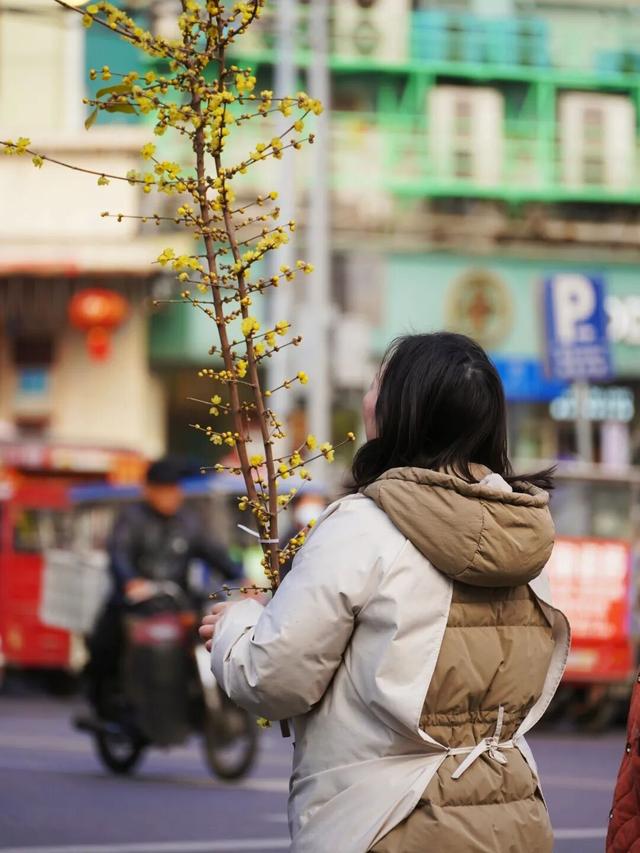 花漾邛州｜“蜡”么香，“蜡”么美！