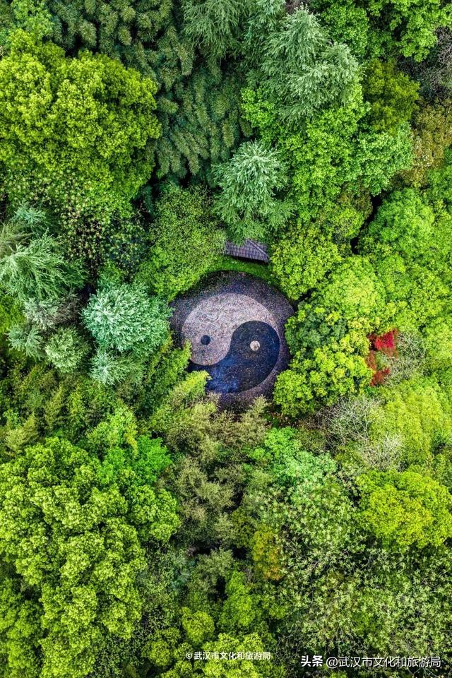 直冲30℃，咸宁请客，出来玩！