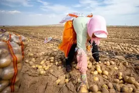 最没有“尊严”的沙漠！被中国人拿来种土豆，还产出了1万多斤？图片