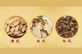 三味药对鼻炎，一通一补一消！图片
