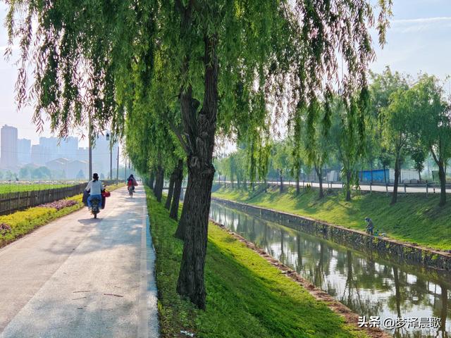 云梦初夏好风光，秦皇河畔醉田园