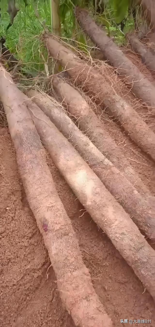 认识大美广东的每个县——第26波：德庆