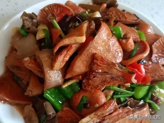 快艇游湖，ATV越野，爬山徒步....孝感2天1晚亲子营来了~