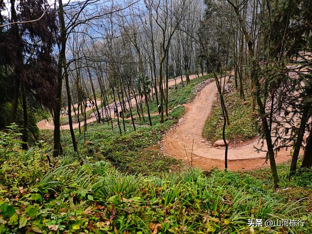 徒步都江堰上元古道｜12公里千阶登顶，一场与自己的硬核对话