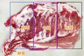 买排骨，“前排”“中排”“后排”差别很大，弄懂了，少花冤枉钱图片