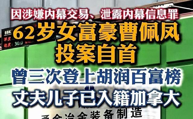 绝不姑息！国家出手逮捕的5位华人首富，原因曝光下才知罪有应得