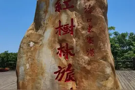 说说含“大”字的成语大世界（待续）图片