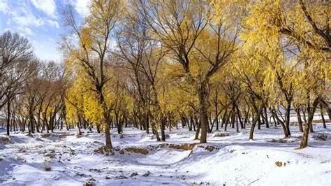 11月7日立冬,"上午立冬柴米空 下午立冬单衣冬",今年立冬在哪?