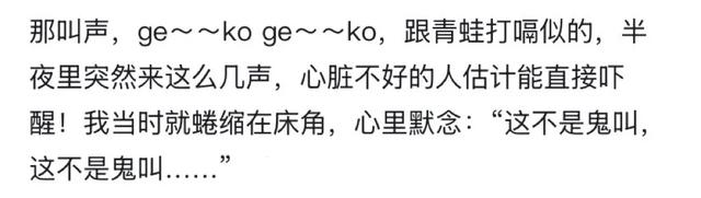 阻止我去巴厘岛旅游的唯一理由：