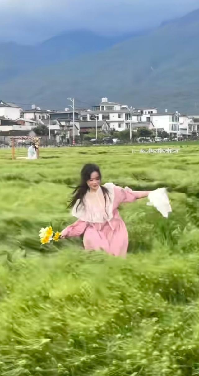 《大理大风天拍美照：别人看我出神图，我在草地里被吹翻几次！》