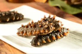 揭秘海参5大骗局！普通人买海参怎么才能不被坑？图片