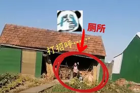 笑麻了！东北媳妇敢上澡堂，死活不肯上南通厕所，一看，没有门？图片