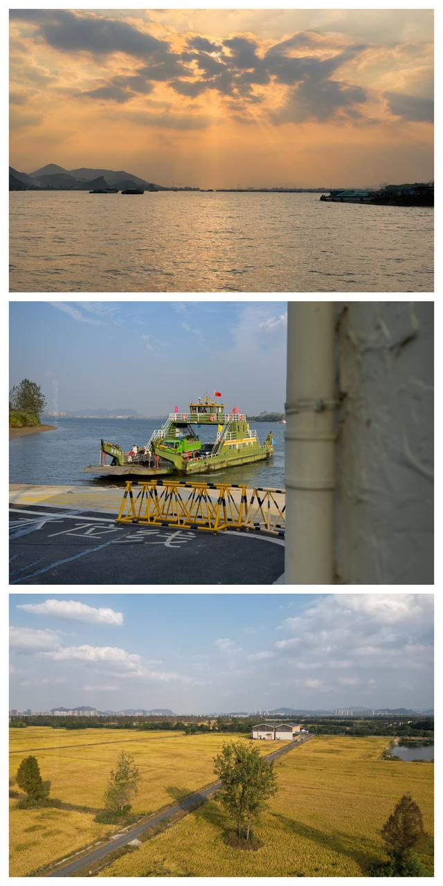 离杭州1h，5分钟的轮渡，一场避世之旅