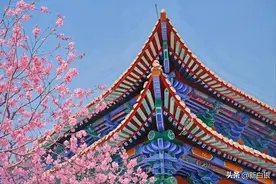 不必去法国，白银的“莫奈花园”美到窒息！图片