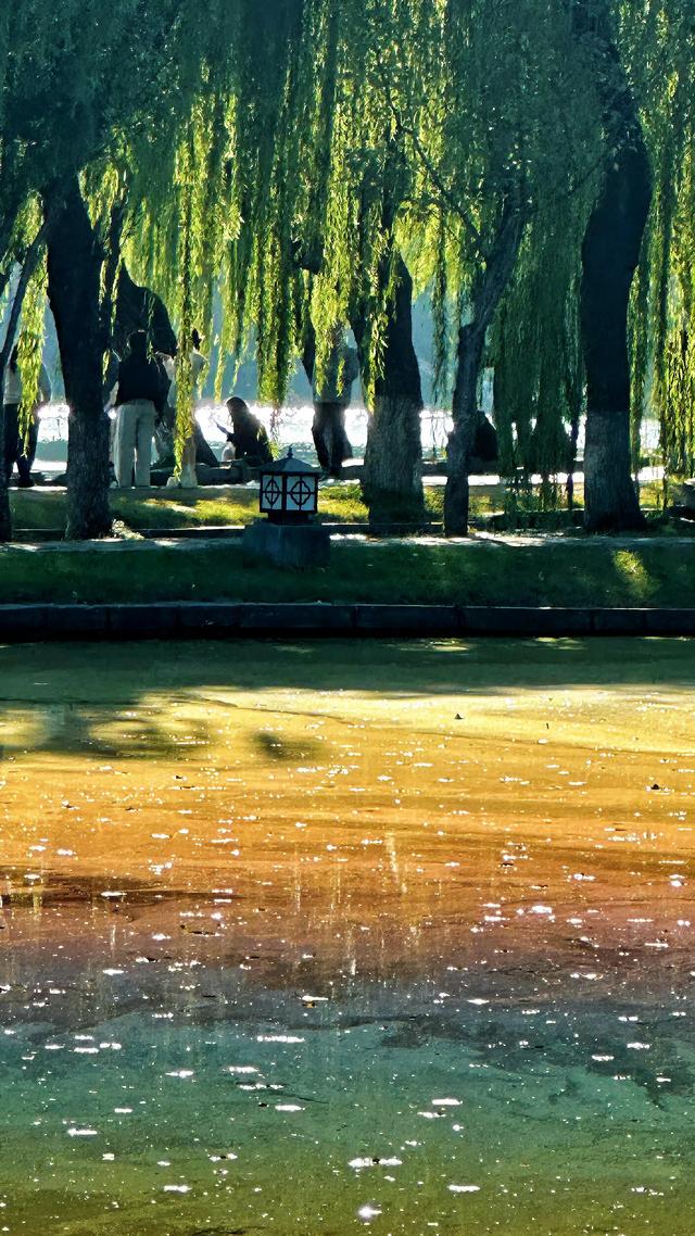 这就是南京秋天的海 ​