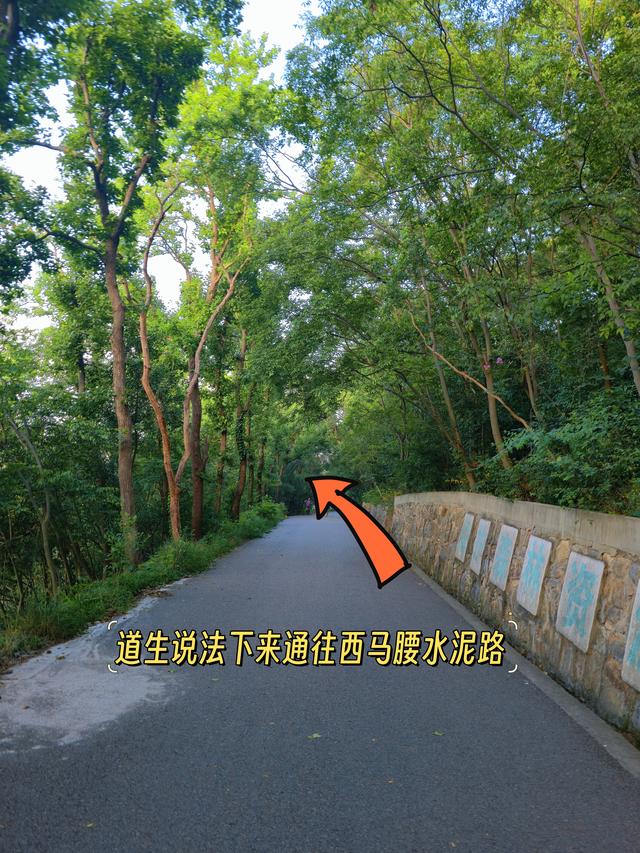 南京明孝陵免费玩法攻略