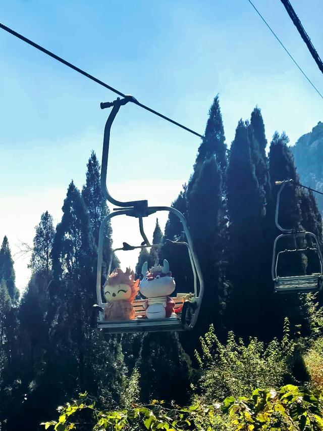 均温19℃，8-9月最清凉的6个森林公园，天然大氧吧！！