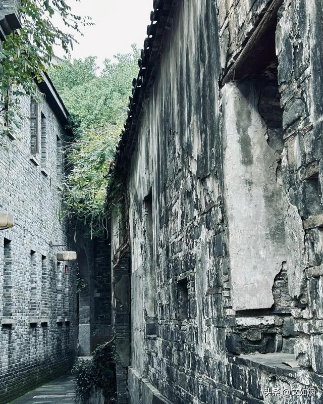 散文随笔：秋在心上，我在路上