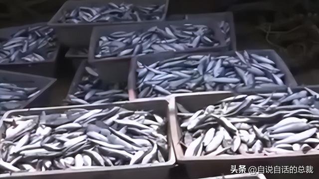 花胶块胶 “花胶”