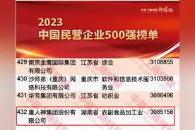 挺进中国民企500强，唐人神凭什么？图片