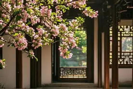 如果我家有院子，一定会栽种上这5种树，照这个方位栽种准没错图片