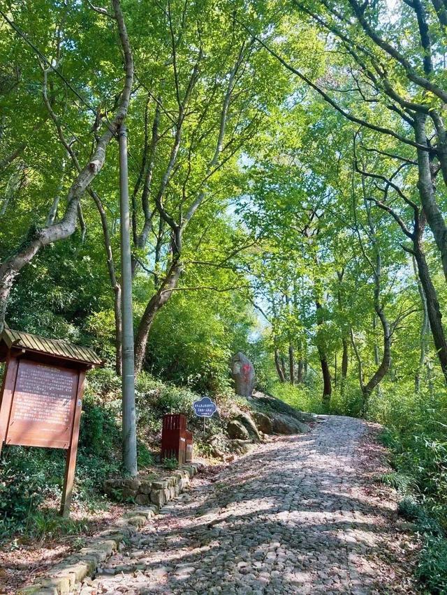 宁波最美季节即将到来，20条绝美登山线路帮你选好了