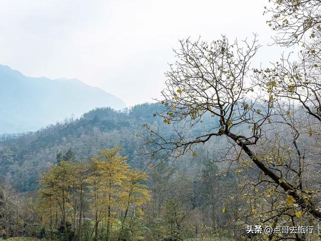 四川什邡最不可低估的寺庙，明清两朝皇帝对其追封，充满神秘感！