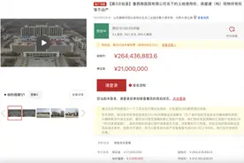 降价1.5亿，大型三级医院又拍卖了图片