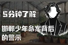 邯郸少年命案：3个未成年人的残忍行径，为何让14亿人陷入深思？图片