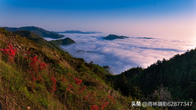 在黄陂，这样的美景你见过吗？